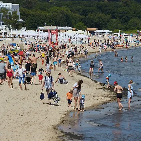 Dream ホステル *