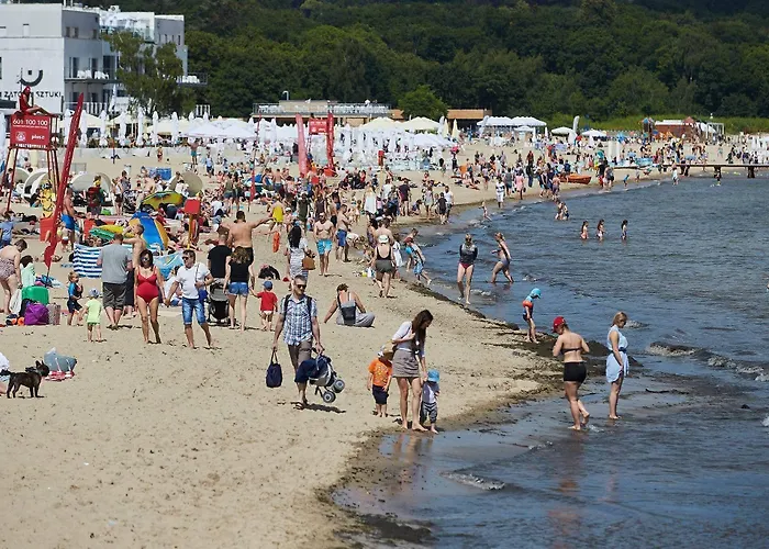 Dream ホステル *